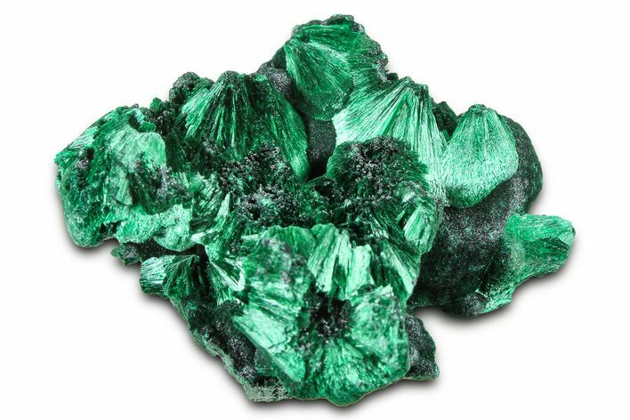 Silky Fibrous Malachite Cluster - DR Congo #379658
